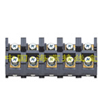 FJ6/TCD-100/5P ���M���