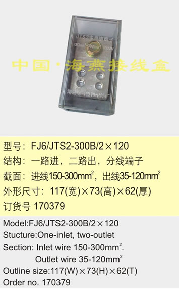 FJ6/JTS2-300B/2��120