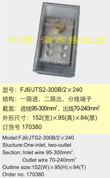 FJ6/JTS2-300B/2��240