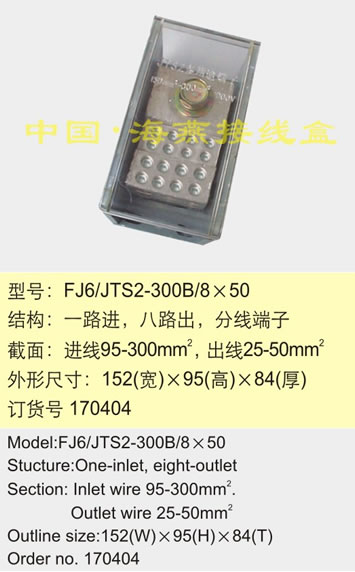 FJ6/JTS2-300B/8��50