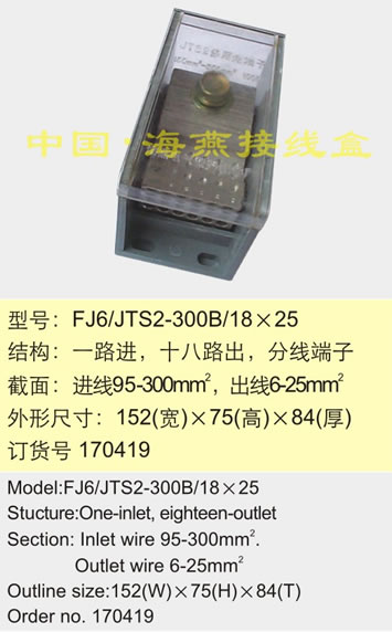 FJ6/JTS2-300B/18��25