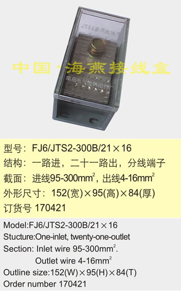 FJ6/JTS2-300B/21��16