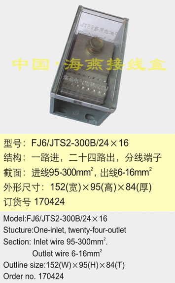 FJ6/JTS2-300B/24��16