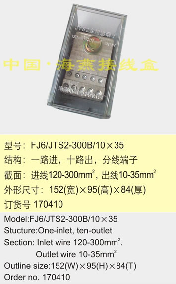 FJ6/JTS2-300B/10��35