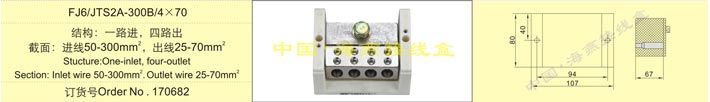 FJ6/JTS2A-300B/4��70