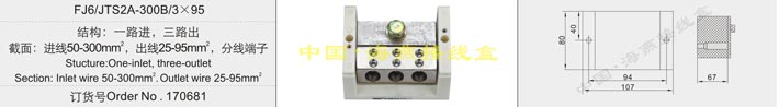 FJ6/JTS2A-300B/3��95