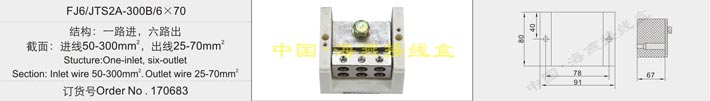 FJ6/JTS2A-300B/6��70