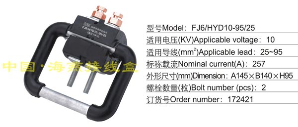 FJ6/HYD10-95/25 �^���̾��A(10KV)