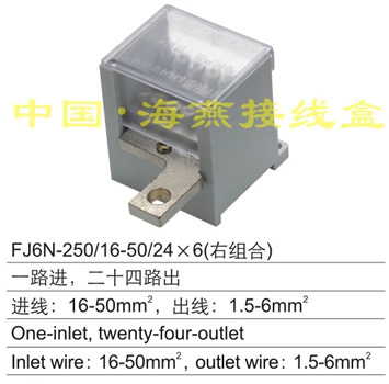 FJ6N-250/16-50/24��6(�ҽM��) һ·�M(j��n),��ʮ��·��