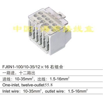 FJ6N1-100/10-35/12X16�ҽM��
