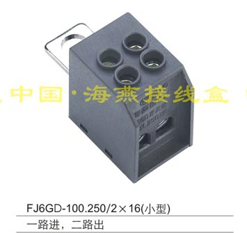 FJ6GD-100.250/2X16(С��)