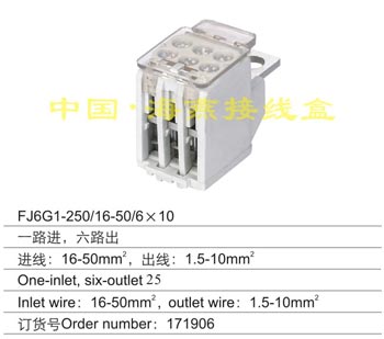 FJ6G1-250/16-50/6��10
