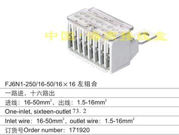 FJ6N1-250/16-50/16��16��M��