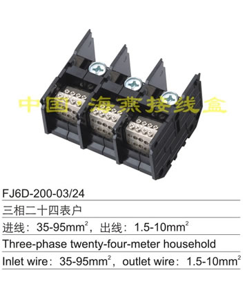 FJ6D-200-03/24 �����ʮ�đ���