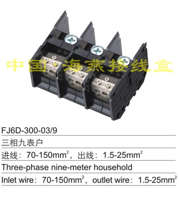 FJ6D-300-03/9 ����ő���