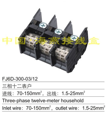 FJ6D-300-03/12 ����ʮ������