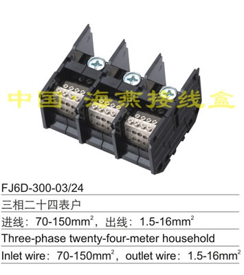 FJ6D-300-03/24 �����ʮ�đ���